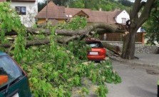Southern Hydroseeding Tree Cutting Services Kwikfynd